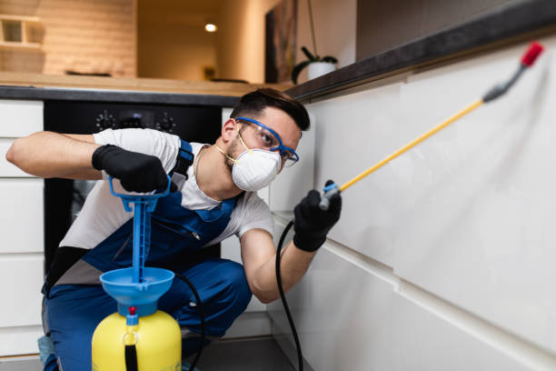 Best Termite Control Services  in Beaufort, SC