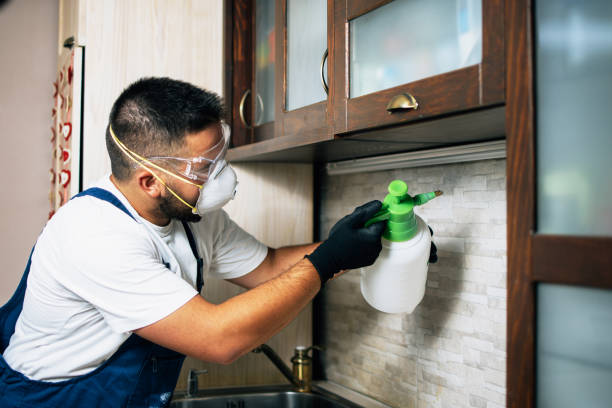 Reliable Beaufort, SC Pest Control Solutions