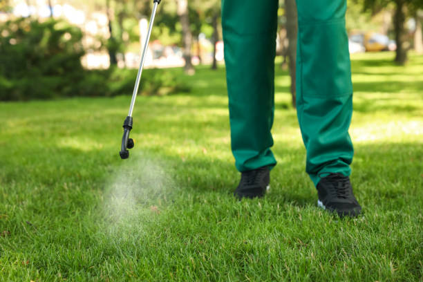 Best Commercial Pest Control Services  in Beaufort, SC