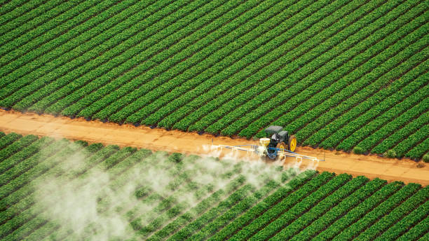 Pest Prevention Services in Beaufort, SC