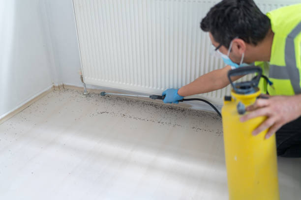 Best Best Pest Control Companies  in Beaufort, SC