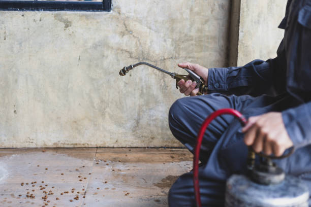 Best Affordable Pest Control Services  in Beaufort, SC
